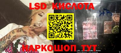 ПСИЛОЦИБИНОВЫЕ ГРИБЫ Заволжье