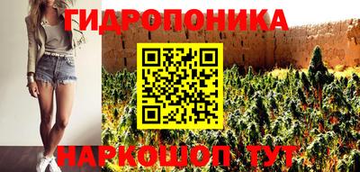 ПСИЛОЦИБИНОВЫЕ ГРИБЫ Заволжье