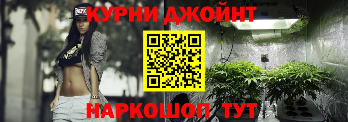 Гай  Каннабис сатива  Шишки марихуана VHQ  Вход с VPN  МАРИХУАНА план 
